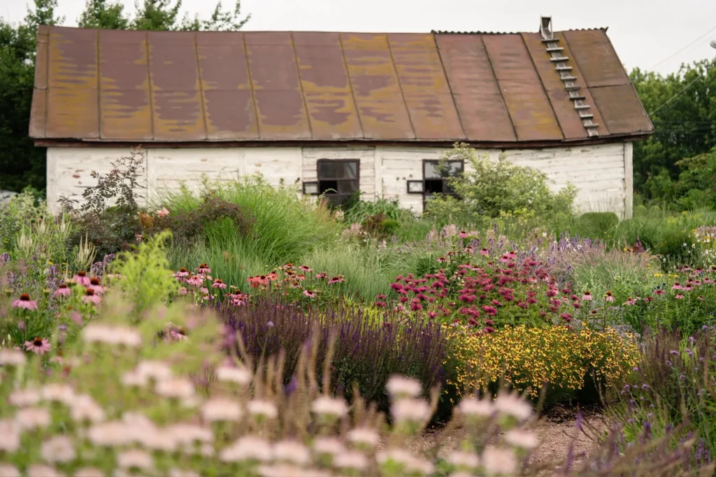 hreblia гребля блоки поєднання жива нива шавлія