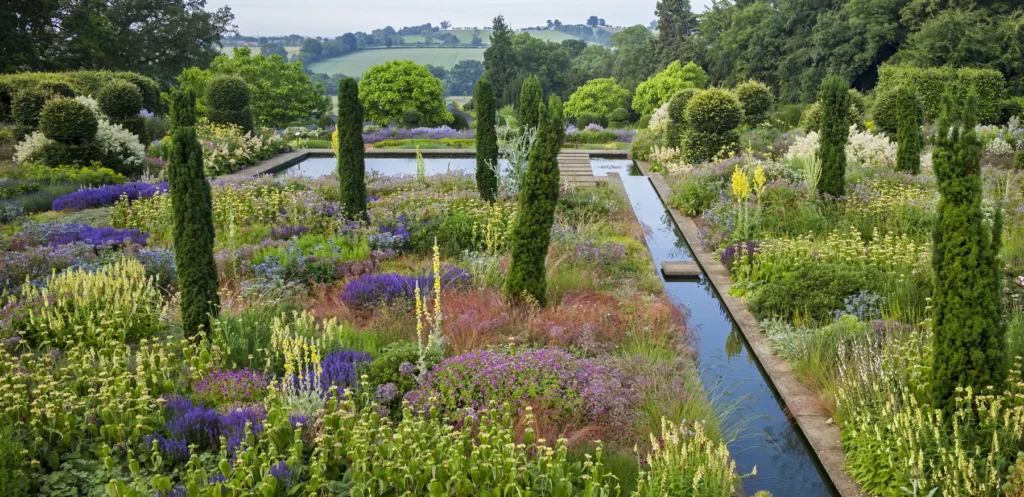 Гребля hreblia випадково розкидані рослини блок