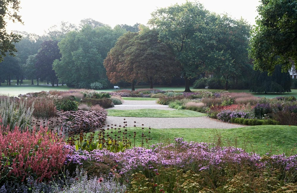 залізняк очиток видний гребля блоки hreblia створення