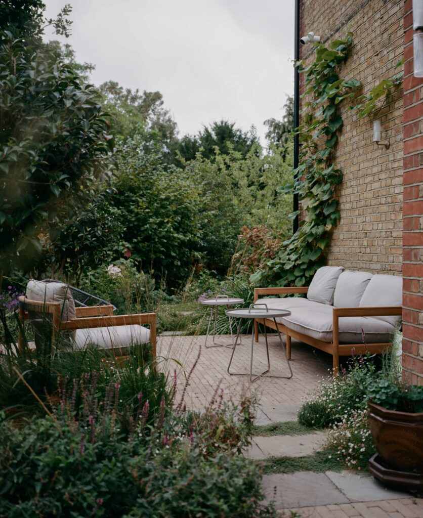 Дерева кущі структурні рослини structural plants гребля патіо patio