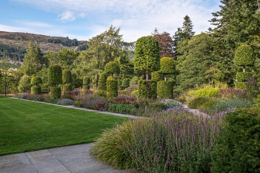 Сезонні рослини багаторічні квіти дерева кущі стрижені форми тис seasonal plants trees гребля