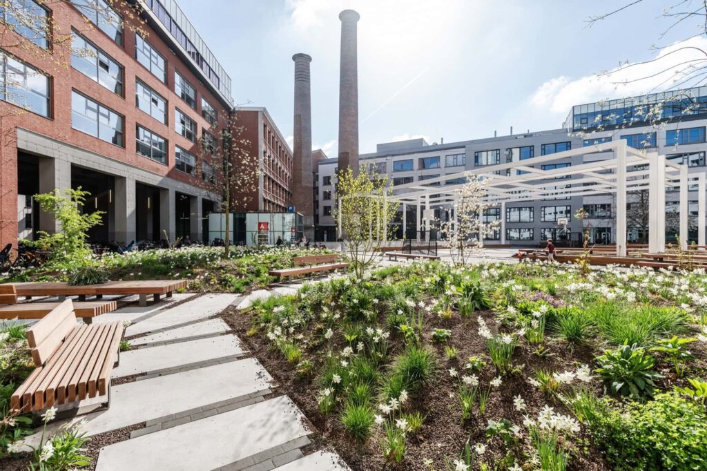 Рослини-заповнювачі структурні рослини сезонні рослини навесні квітування filler plants structural plants seasonal plants spring