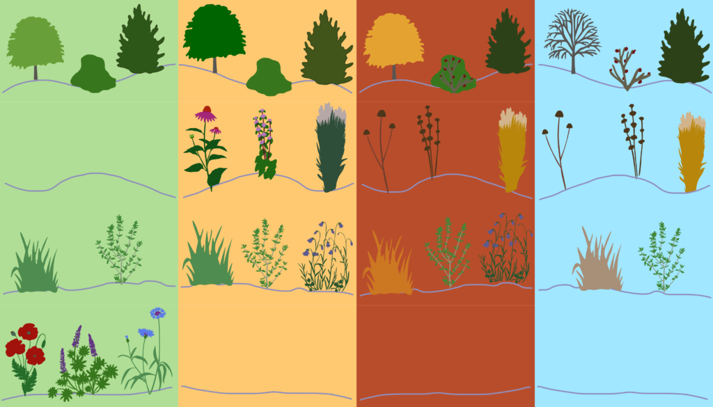 гребля hreblia рівні декоративних насаджень структурні рослини structural plants сезонні рослини seasonal plants ґрунтопокривні рослини groundcover plants рослини-наповнювачі filler plants