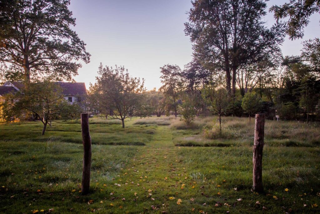 Трави з деревами Сезонні рослини Seasonal plants Структурні рослини Structural plants