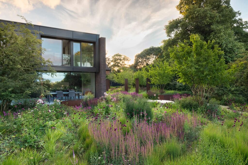 Багаторічні квіти, трави, дерева Сезонні рослини Seasonal plants Структурні рослини Structural plants Квітування шавлії Salvia Grass