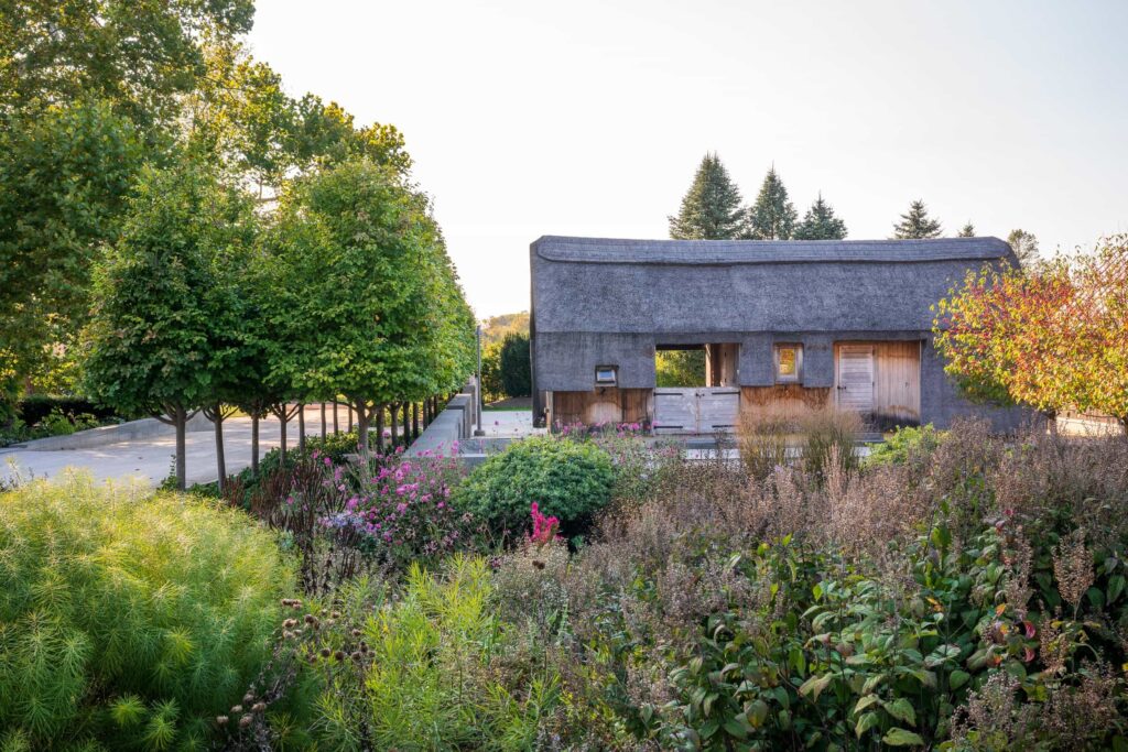 Щільно висаджені дерева з багаторічниками Сезонні рослини Seasonal plants Структурні рослини Structural plants Дерева Trees