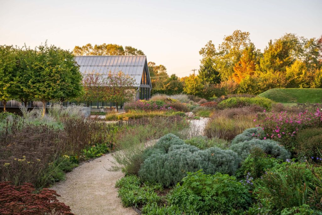 Багаторічні рослини на початку осені Сезонні рослини Seasonal plants Структурні рослини Structural plants Дерева Trees Квіти Flower Трави Grass