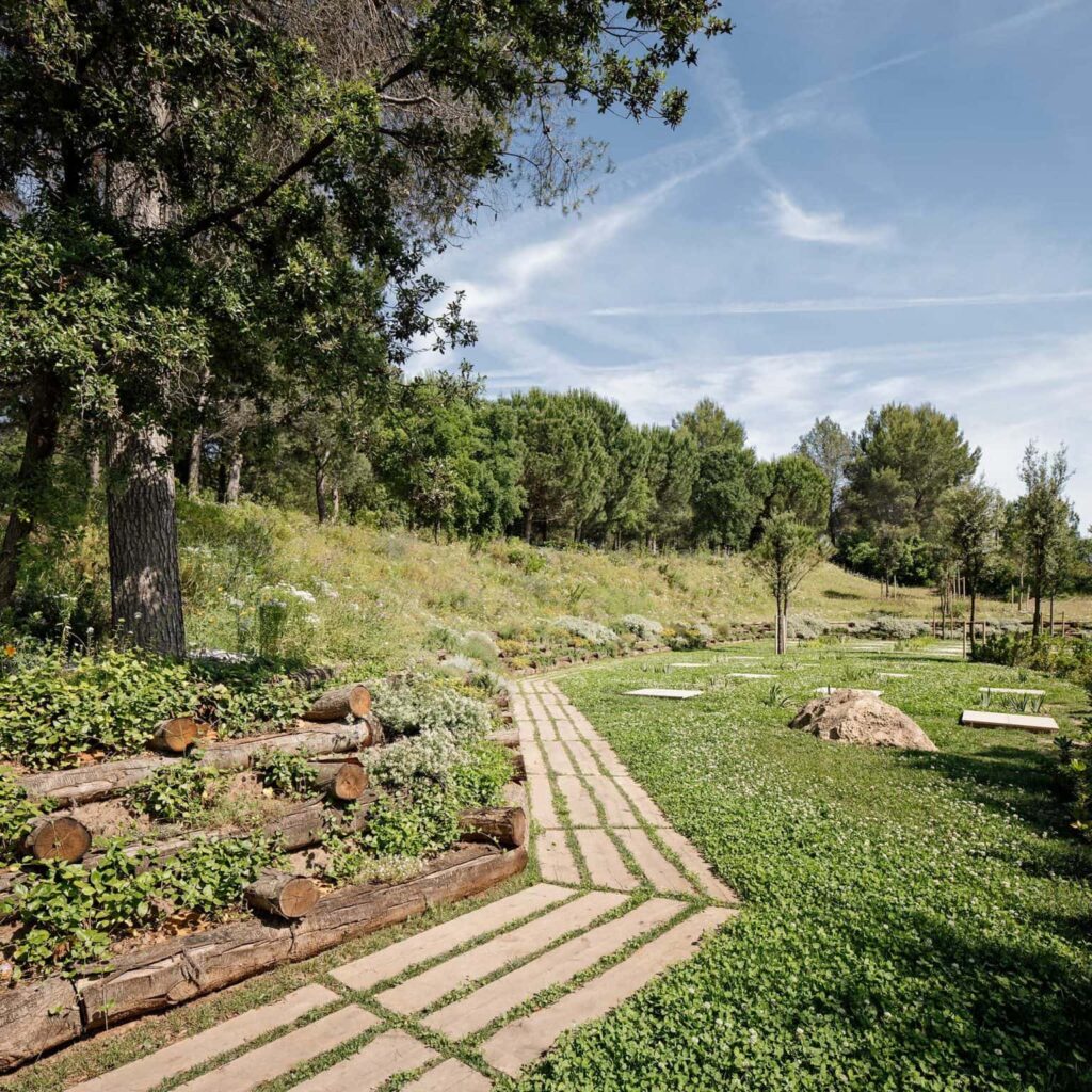 Багаторічні рослини висаджені на схилі Сезонні рослини Seasonal plants Структурні рослини Structural plants Дерева Trees Квіти Flower Трави Grass Ґрунтопокривні рослини