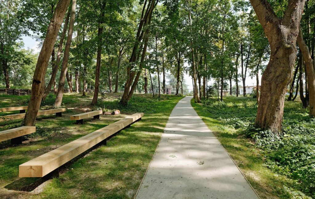 Розташування публічного простору під деревами Багаторічні рослини у лісі Сезонні рослини Seasonal plants Структурні рослини Structural plants Дерева Trees Ліс Forest