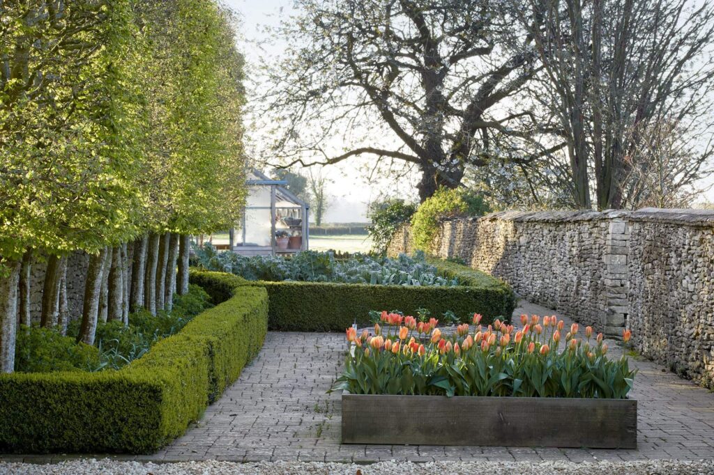 Листяні та зимозелені рослини Живопліт Hedge Структурні рослини Structural plants Весна Spring Дерева Trees