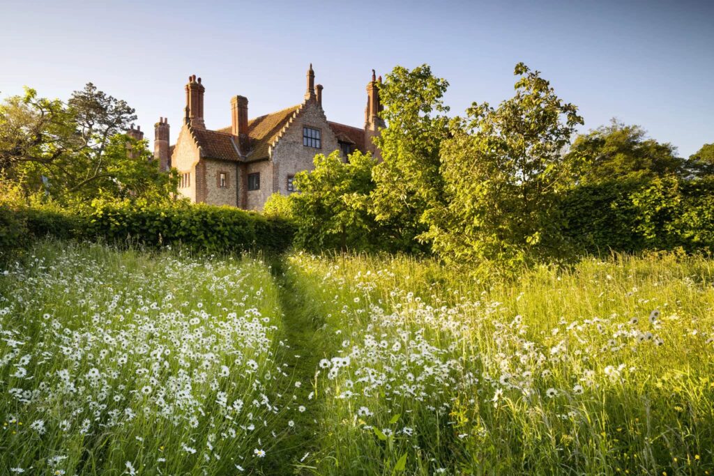 Масове насадження квітів з природним живоплотом Живопліт Hedge Структурні рослини Structural plants Літо Summer Flower