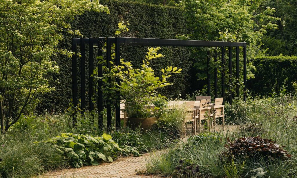 Місце відпочинку закрите високим живоплотом Живопліт Hedge Структурні рослини Structural plants Літо Summer