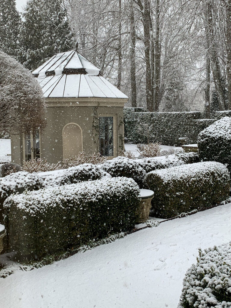 Живопліт зі зимозелених рослин Hedge Структурні рослини Structural plants Зима Winter