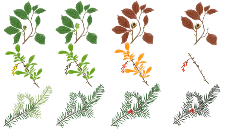 Живопліт кожного сезону Вигляд живоплоту з ріхних рослин Живопліт восени Живопліт навесні Живопліт влітку Живопліт взимку Hedge Жива огорожа Hedge in winter Hedge in summer Hedge in autumn Hedge in spring