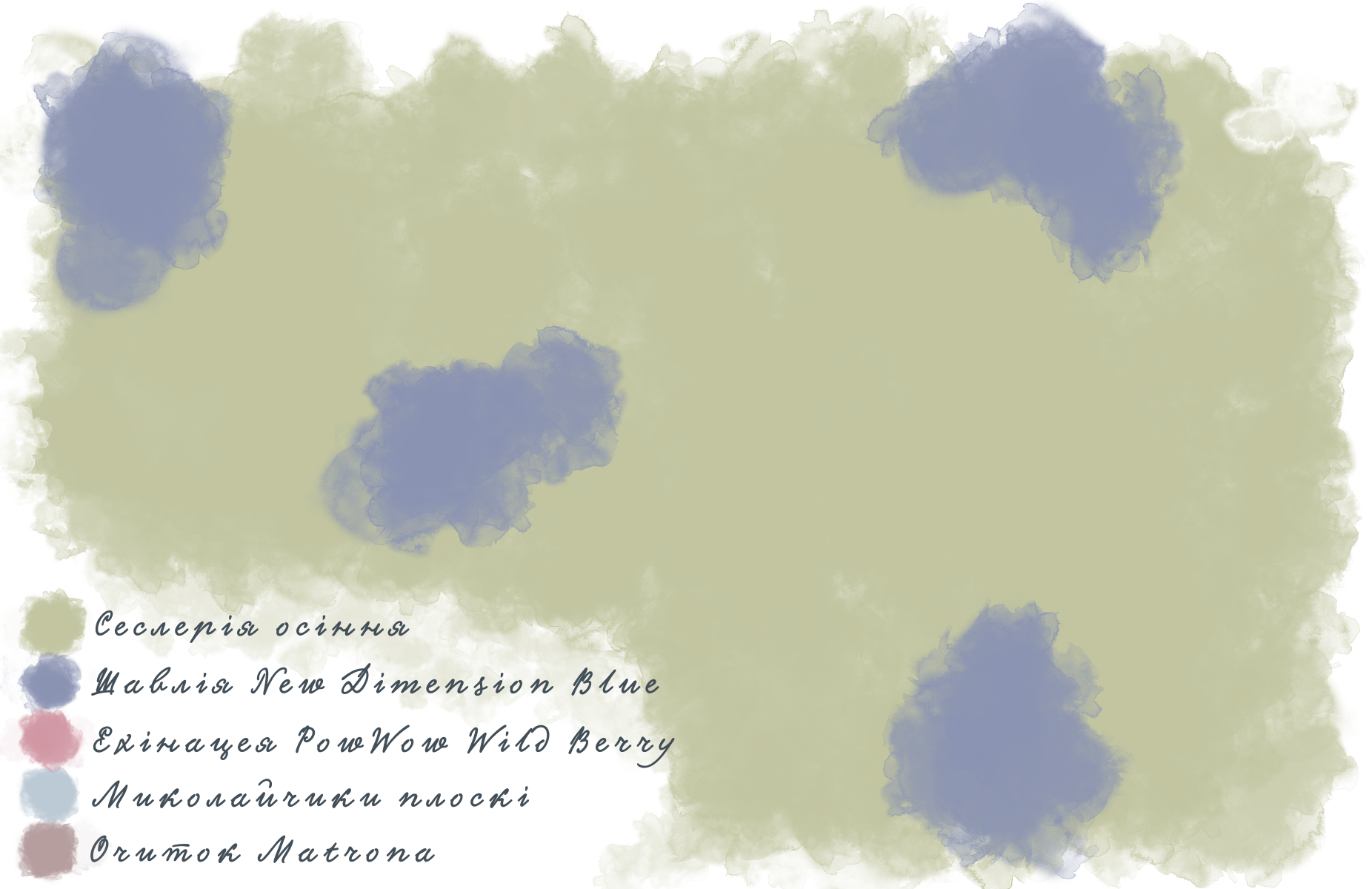 Композиція з шавлії гайової New Dimension Blue Salvia nemorosa New Dimension Blue Рослина-завнювач Filler plant Матричне насадження Matrix planting