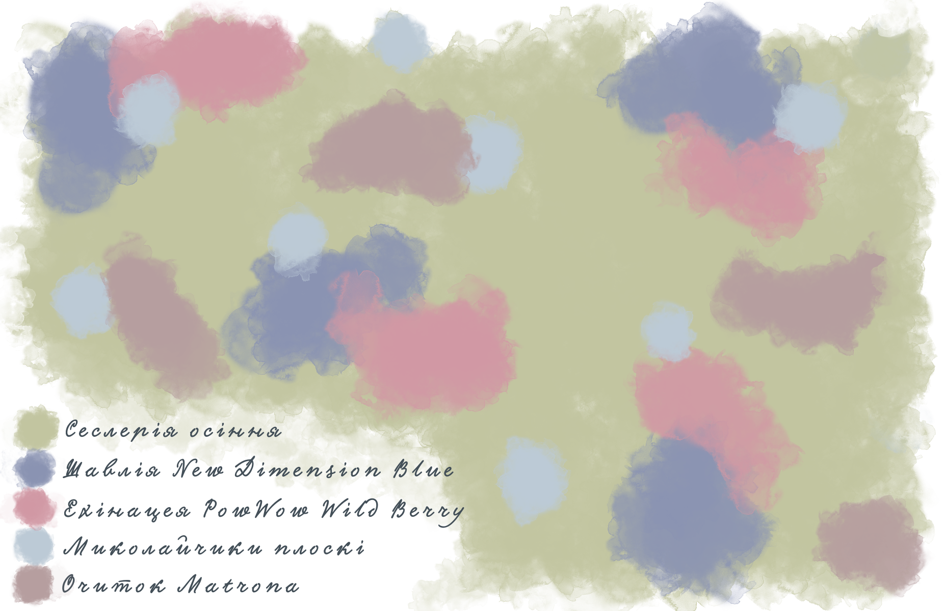 Композиція з шавлії гайової New Dimension Blue Salvia nemorosa New Dimension Blue Рослина-завнювач Filler plant Матричне насадження Matrix planting