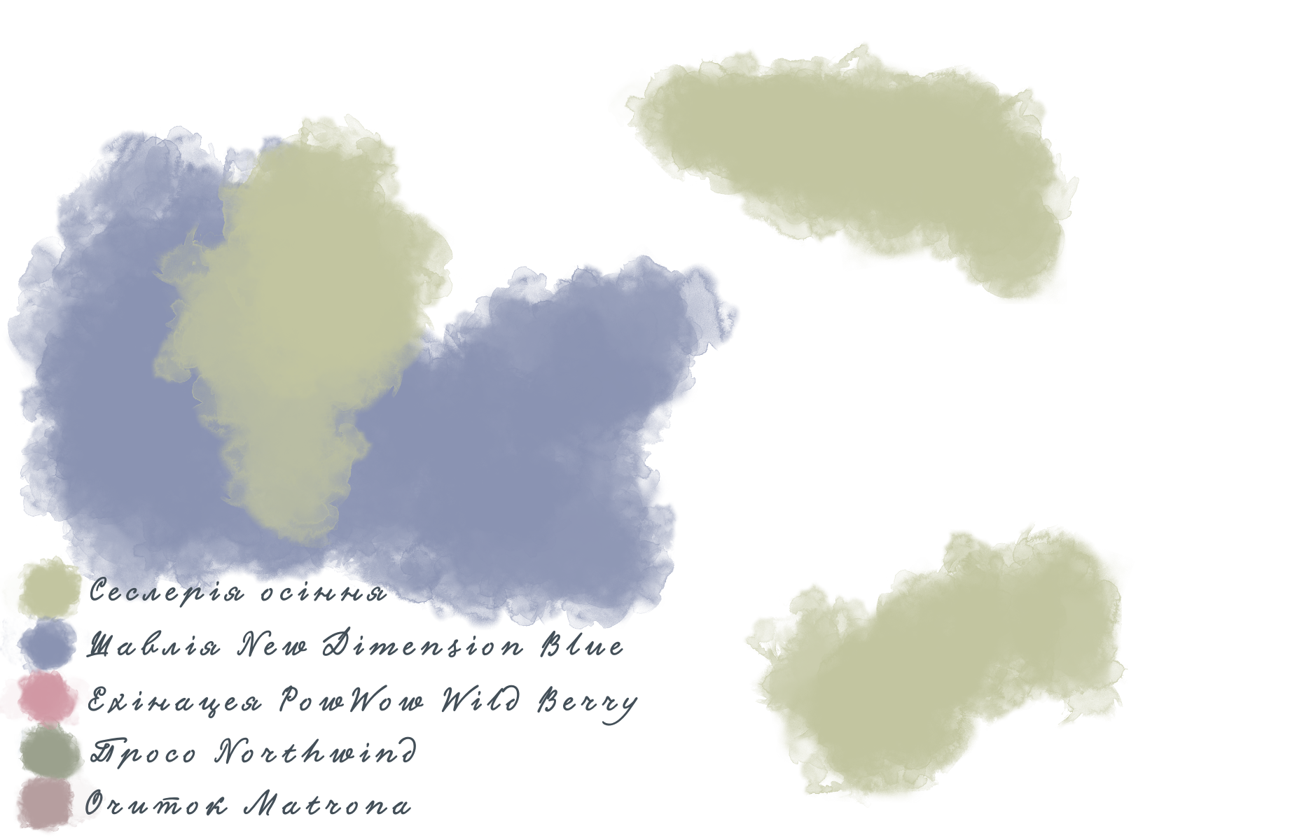 Композиція з шавлії гайової New Dimension Blue Salvia nemorosa New Dimension Blue Рослина-завнювач Filler plant Блочне насадження Block planting