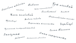 Ботанічні назви рослин українською мовою Botanical names of plants in Ukrainian Назви рослин українською Назви рослин українською мовою