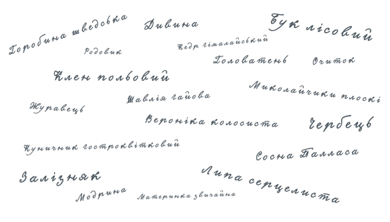 Ботанічні назви рослин українською мовою Botanical names of plants in Ukrainian Назви рослин українською Назви рослин українською мовою