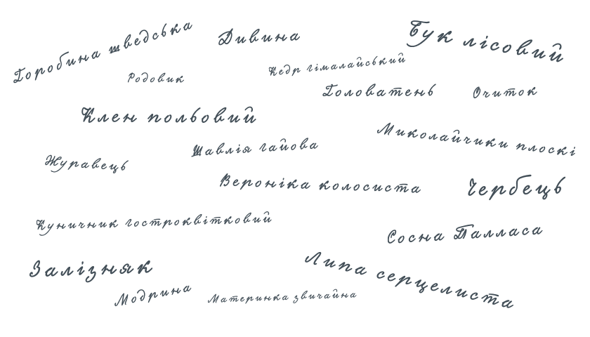 Ботанічні назви рослин українською мовою Botanical names of plants in Ukrainian Назви рослин українською Назви рослин українською мовою