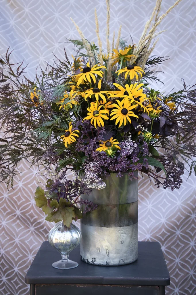 Рудбекія блискуча Goldblitz Rudbeckia fulgida Goldblitz Багаторічна трав'яниста рослина Сезонні рослини Seasonal plants Застосування рудбекії блискучої