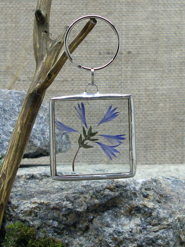 Волошка Підвіс для ключів з сушеною рослиною Гербарій Pressed flower Dried flower Keychain Stained glass keychain Гребля Hreblia
