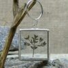 Деревце Підвіс для ключів з сушеною рослиною Гербарій Pressed flower Dried flower Keychain Stained glass keychain Гребля Hreblia