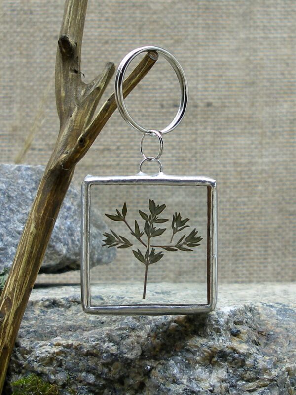 Деревце Підвіс для ключів з сушеною рослиною Гербарій Pressed flower Dried flower Keychain Stained glass keychain Гребля Hreblia