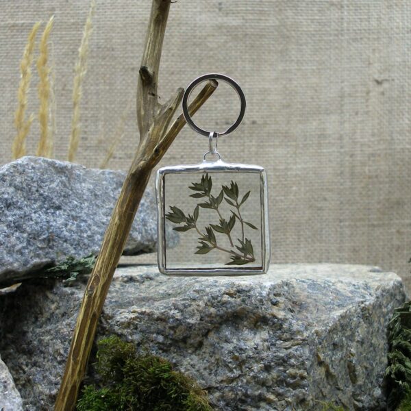 Чебрець Підвіс для ключів з сушеною рослиною Гербарій Pressed flower Dried flower Keychain Stained glass keychain Гребля Hreblia