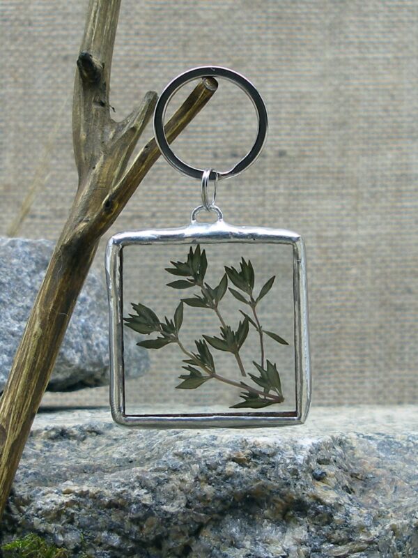 Чебрець Підвіс для ключів з сушеною рослиною Гербарій Pressed flower Dried flower Keychain Stained glass keychain Гребля Hreblia